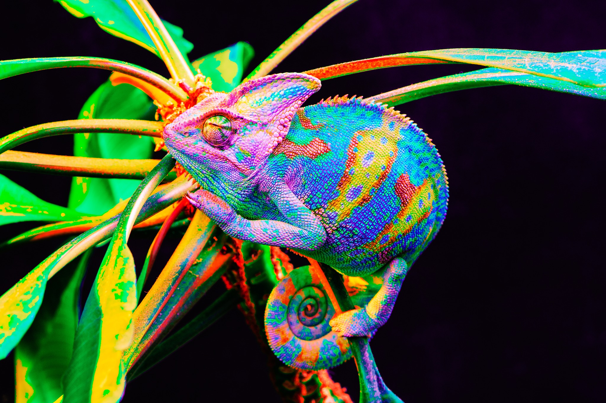 Background