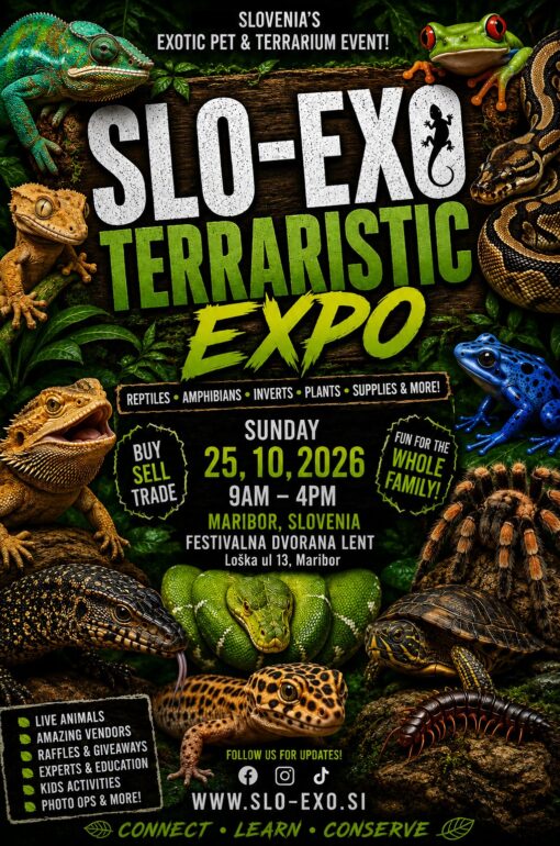 Internationale Messe für exotische Tiere Slowenien