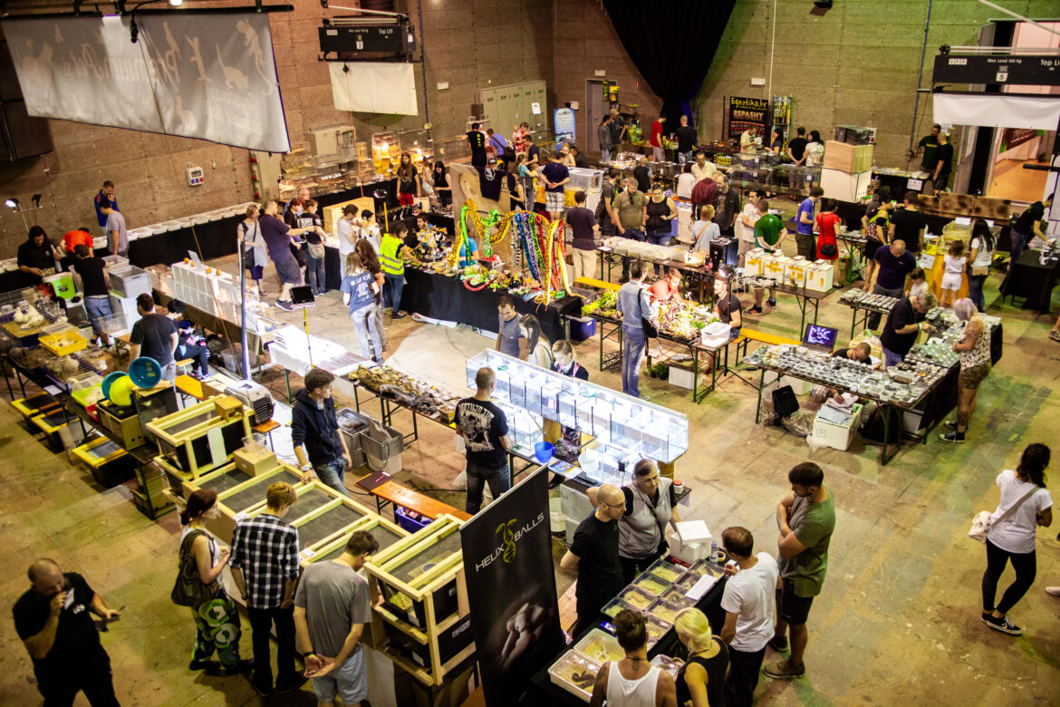 Slo Exo 2017 (86)