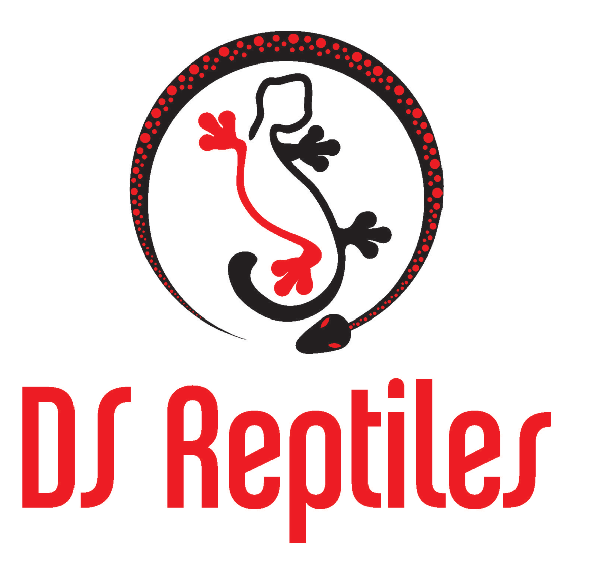 ds_reptiles ds reptiles sponsor 3