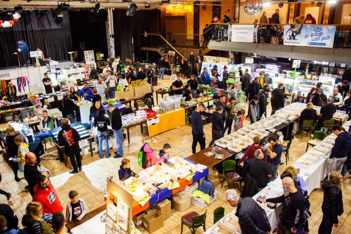 foto Maja Modrinjak_slo-exo_2022 (26)