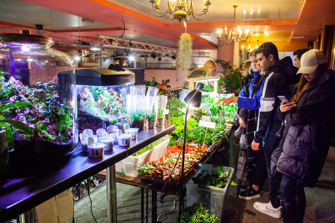 foto Maja Modrinjak_slo-exo_2022 (34)